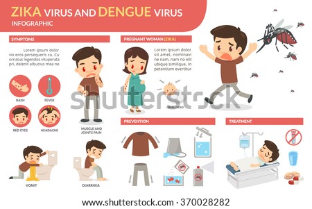 Zika virus and dengue virus infographic. Vector flat design.