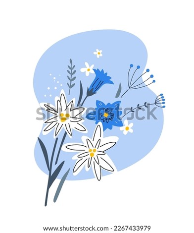 Alpine flowers: edelweiss, gentian and others. Vector illustrations for print, packaging, textile, apparel, embroidery. EPS clip art design.