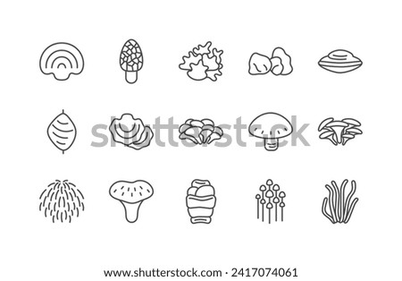 Medicinal mushroom line icon set