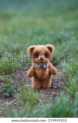 Brown artist Teddy bear with bow tie in garden