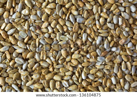 A very close view of roasted and salted sunflower kernels.