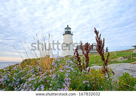 The lighthouse at Pemaquid Point, Maine with cloudy sky above and assorted native foliage in the foreground.