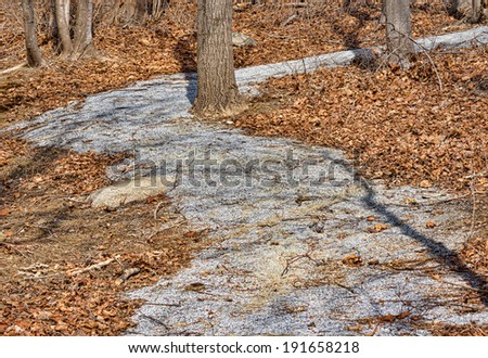 A gravel path through woods and with dead leaves and shadows.