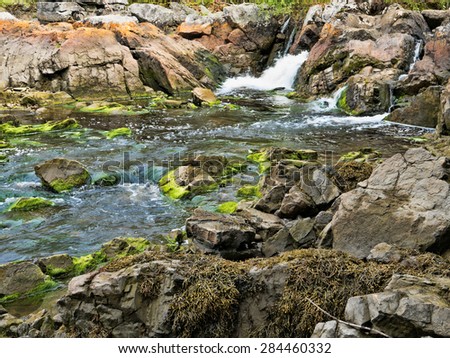 A fresh water stream gushing into salt water with large boulders and rocks covered with algae and seaweed.