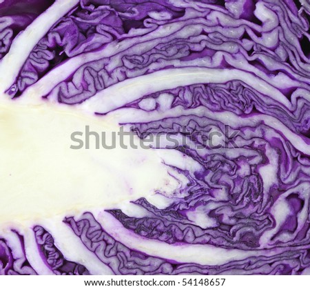 Close view of cut red cabbage