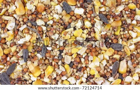 A layer of wild bird food containing grains and sunflower seeds.
