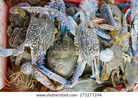 Raw blue crab in the orange basket