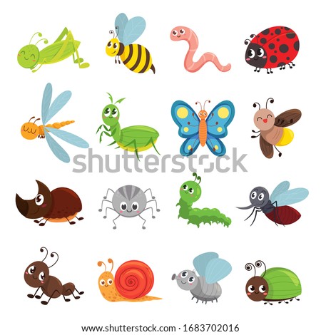 Funny insect set, bug, beetle, butterfly symbol. Entomology and environment. Vector cute insects cartoon illustration isolated on white background