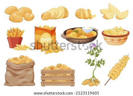 Collection potato and products from it vector flat illustration. Chips, french fries, boiled, whole root potatoes in sack and wooden box, seedling harvest vegetables isolated. Organic grocery food