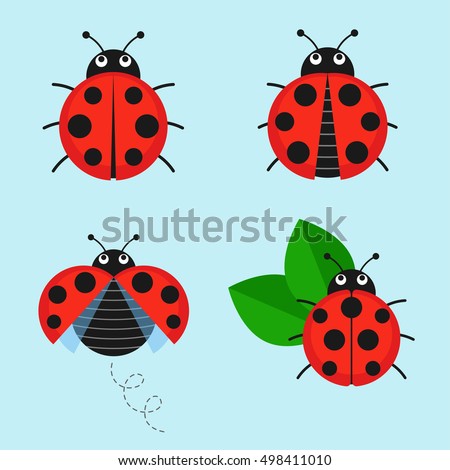 Cartoon ladybug vector set isolated from the background. Cute ladybug on a leaf or flying in a flat style. Symbols funny insects and beetles. 