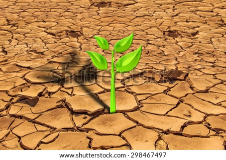 A small green plant is growing from the arid cracked earth. concept of a precious life in a difficult situation, purity concept, survival concept, pollution.