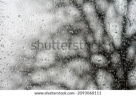 A pessimistic tree outside a wet window. Dull mood, gray sky and branches. Drops Foto stock © 