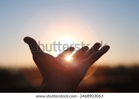 Similar – Image, Stock Photo In the morning between flowers on the roof terrace the older woman likes to stretch her legs far away from herself.