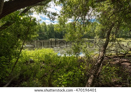 Similar – Image, Stock Photo Looking through the woods to a boat on a lake in the mountains with still reflection