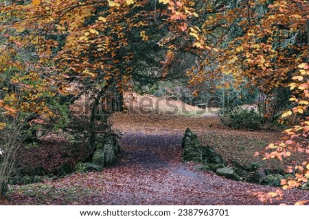 Similar – Image, Stock Photo Mountain park Kassel