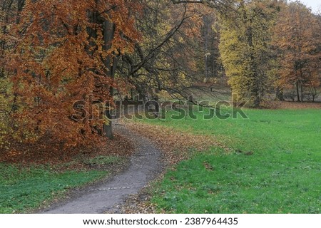 Image, Stock Photo Mountain park Kassel