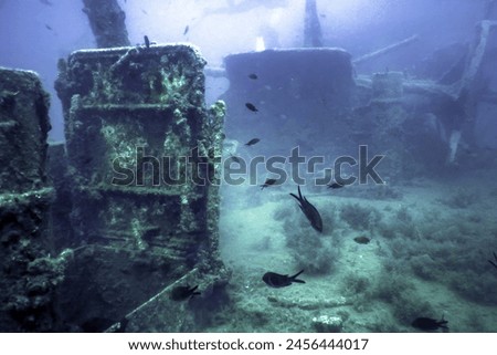 Similar – Image, Stock Photo Shipwreck in the water of the Spree