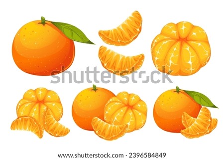 Mandarin, tangerine, clementine.A collection of ripe, juicy exotic fruits.Tangerine in slices, whole fruits.Vector illustration isolated on a white background.