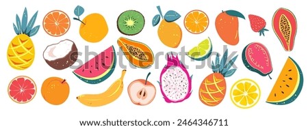 Set of tropical fruits. Watermelon, banana, pineapple, etc. Vector illustration of exotic fruits on a white background.