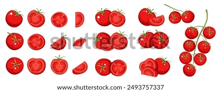 Set of tomatoes. Whole tomatoes, halves, slices, cherry tomatoes on a branch. Vector illustration.