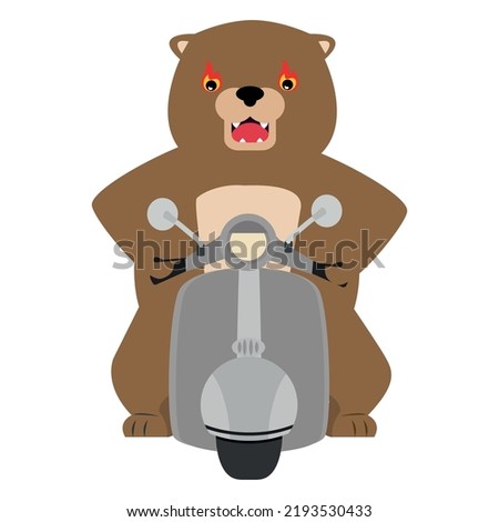 Biker bear riding on motorbike  