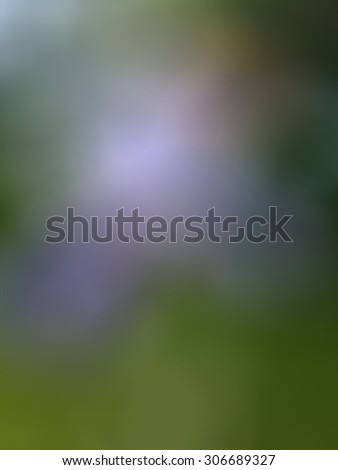Alone purple iris background