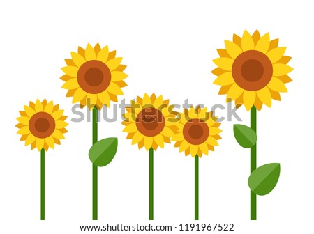Group of blooming sunflowers different sizes vector flat material design isolated on white