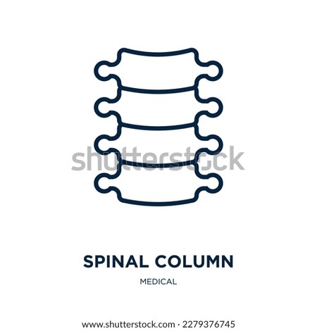 spinal column icon from medical collection. Thin linear spinal column, medical, medicine outline icon isolated on white background. Line vector spinal column sign, symbol for web and mobile