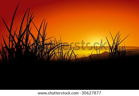 landscape vector of sunset.