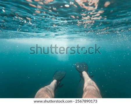 Similar – Image, Stock Photo Person legs on seascape background during sunset