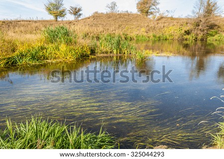 River in the autumn, the golden time of year