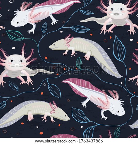 Home Axolotl Clipart Stunning Free Transparent Png Clipart Images Free Download