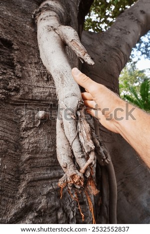 Similar – Image, Stock Photo Hand grips branch with thorns