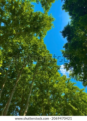Sunny summer day in our lovely town Kapan. Green trees and blue sky. Zdjęcia stock © 