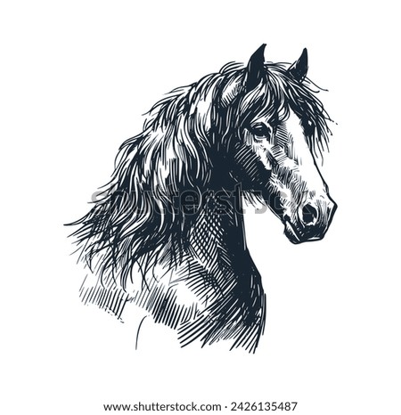 The wild Horse Vector illustration.