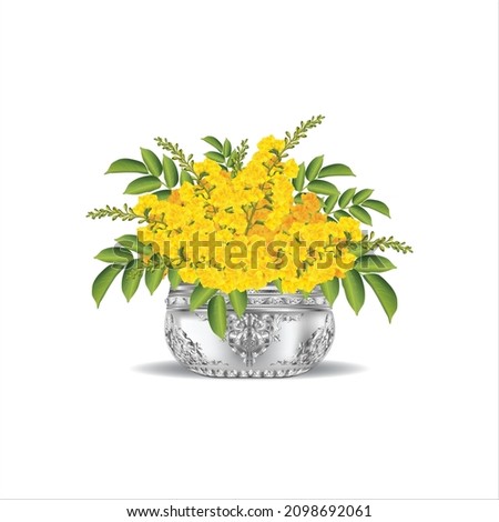 Myanmar Padauk Flower with Silver Bowl, Thingyan Water Festival flower, The national Flower of Myanmar, Padauk, Pterocarpus macrocarpus