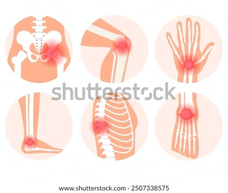 joint pain in human body knee spine and other joint pain arthritis facture	
