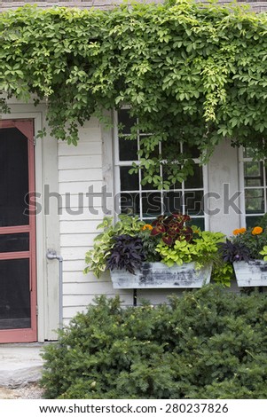 Container - window boxes