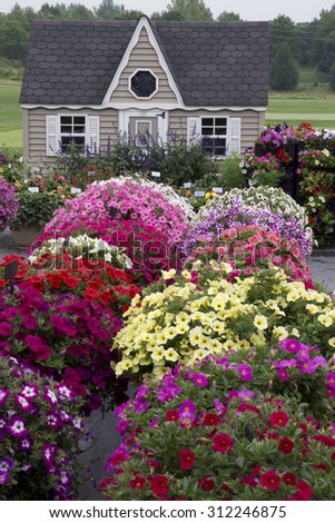 Beautiful garden with garden house and flowers