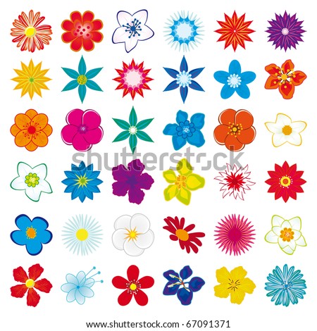 A collection of flowers for the design. Vector illustration