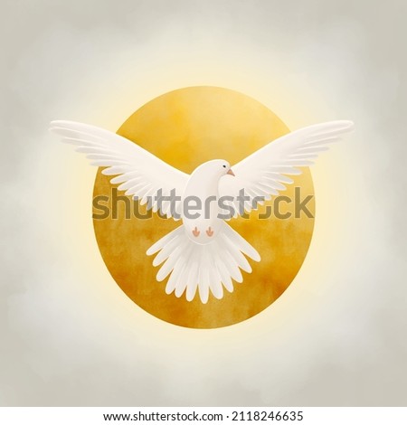 Holy Spirit symbol dove with halo and rays of light symbols of the gifts of the Holy Spirit. 