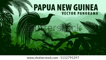 vector panorama of Papua New Guinea with lesser bird of paradise