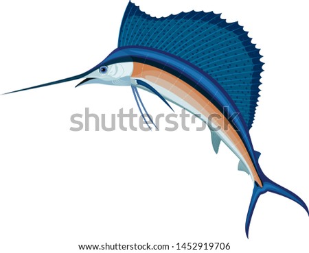 vector swordfish Atlantic sailfish  isolated