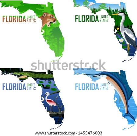 Set of vector Florida - American state map with swordfish Atlantic sailfish, great blue heron, puma cougar or mountains lion, alligator, spoonbill, coot and turtle