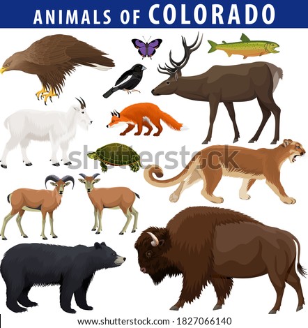 vector set - animals of Colorado: