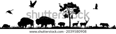 Seamless panorama of the prarie with wolf, deers, fox, eagle, heron, meadowlark and family of brown zubr buffalo bisons with kid