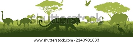 Vector horizontal seamless tropical african savannah with leopard, zebra, rhinoceros, heron, eagle, ibis, ostrich, lion and crowned crane