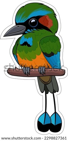 Cute Vector cartoon browed motmot bird sticker