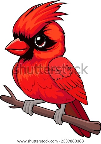 Cute Vector cartoon Red Male Northern Cardinal sticker