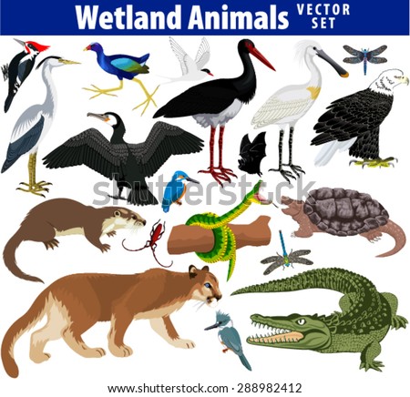 vector set of wetland animals